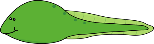 tadpole with legs clipart - photo #7