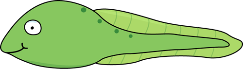 tadpole with legs clipart - photo #4