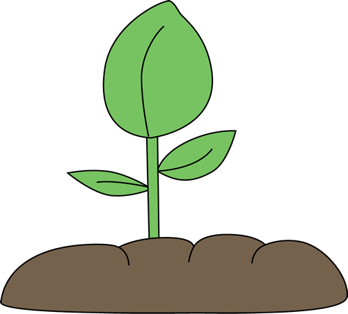 Plant Clip Art - Plant Image