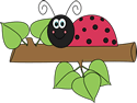 Ladybug on a Branch