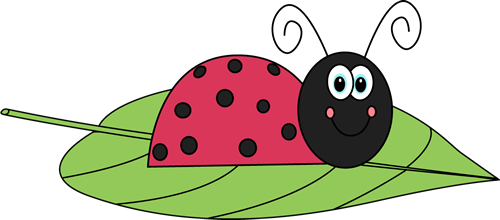clip art of a ladybug - photo #38