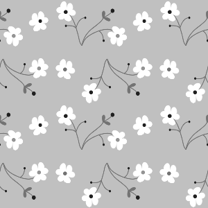 White Flower Backgrounds - White Flower Background Image