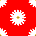 White and Red Flower Background