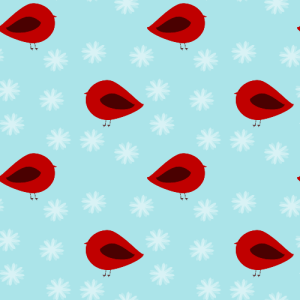 Winter Red Robin Background