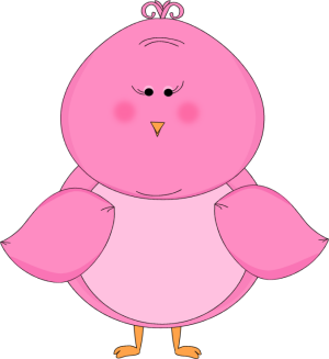 Cute Pink Bird