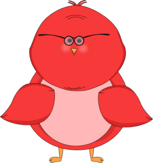 Red Bird Wearing Glasses