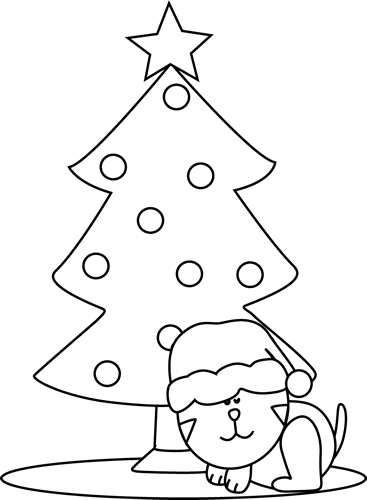 Black and White Black and White Cat Sleeping Under a Christmas Tree