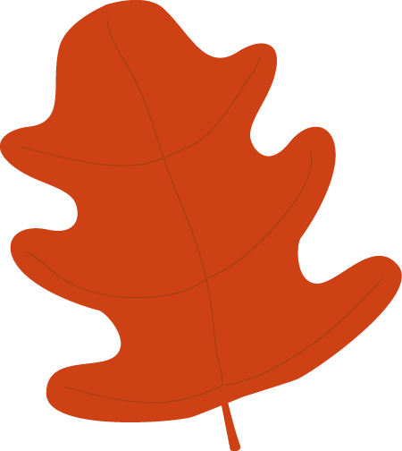 Red Oak Autumn Leaf