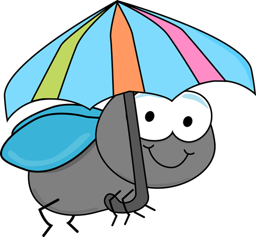 Fly and Umbrella