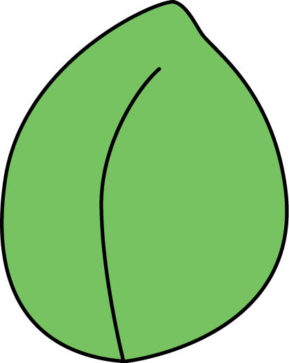 Plant Leaf