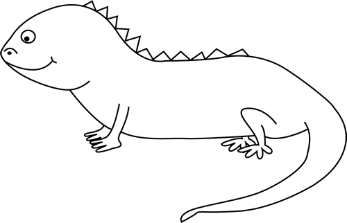 iguana clipart black and white