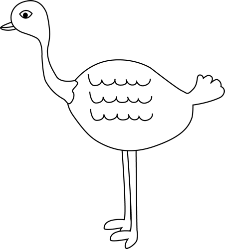 Black and White Ostrich