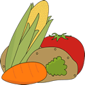 Vegetables for Letter V