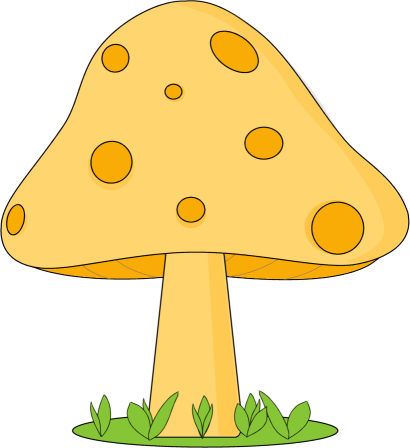 Mushroom in Grass