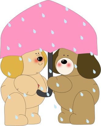 Dogs Caught in Rain