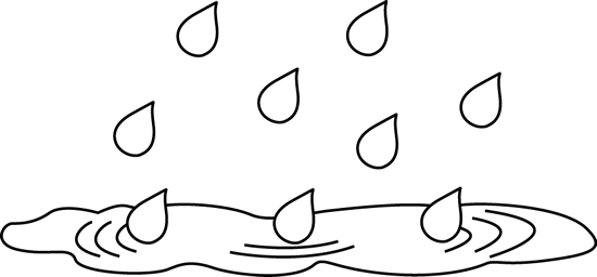 Black and White Rain Puddle