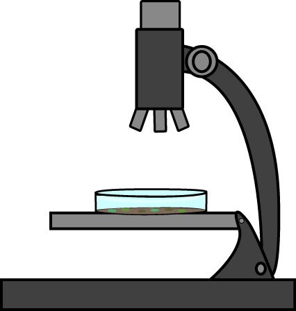 Petri Dish Under a Microscope