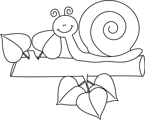 Black and White Snail on a Branch