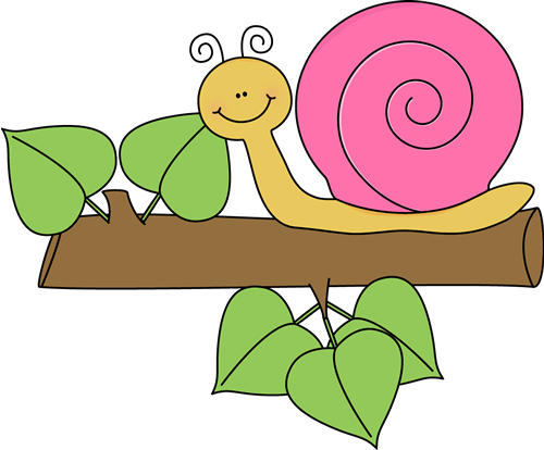 Snail on a Branch