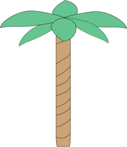 Plain Palm Tree