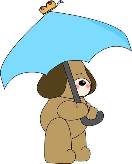 Dog Under Umbrella