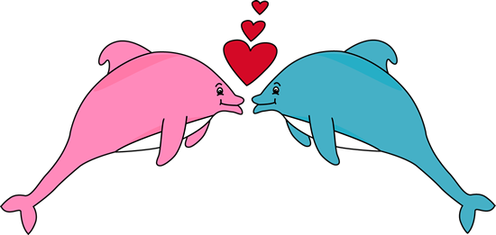 Valentine's Day Dolphins